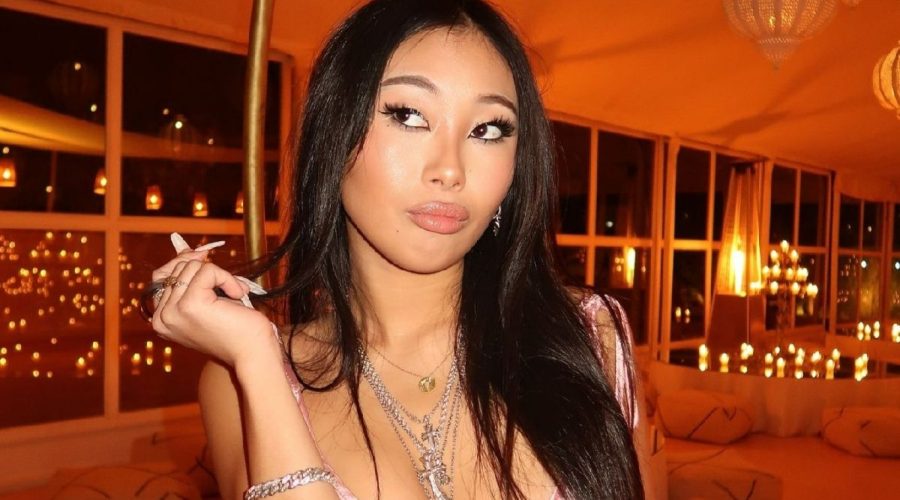 Jade Hallyday Enceinte