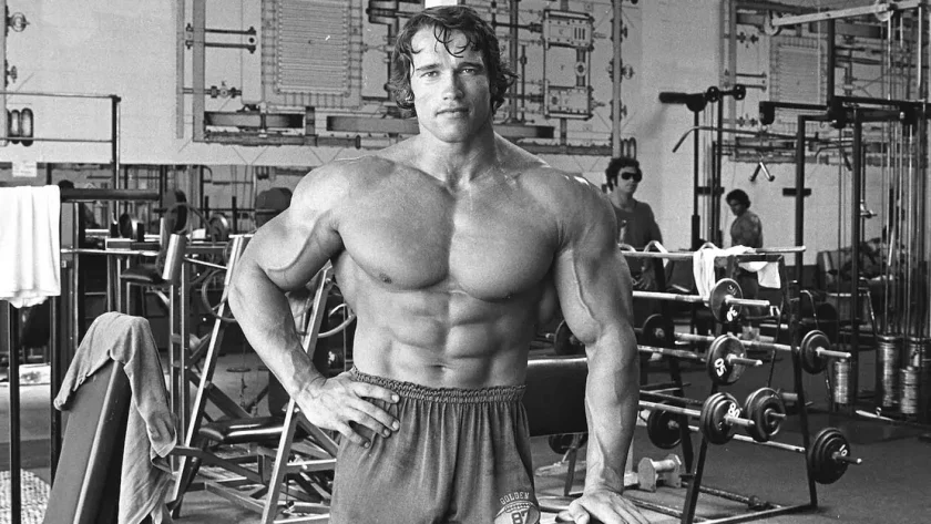Arnold Schwarzenegger Taille