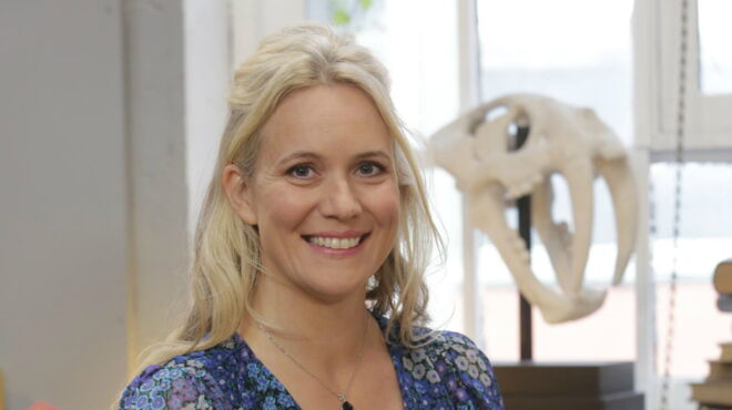 Anne-Catherine Verwaerde